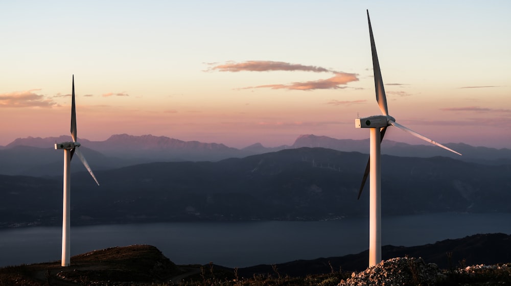 Wind turbines generating renewable energy